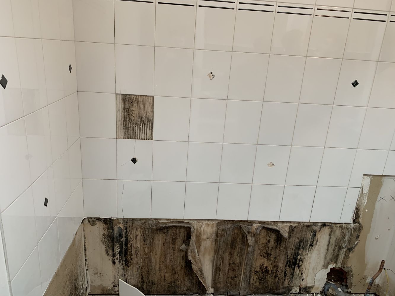 renovation-degat-des-eaux-a-balma-1